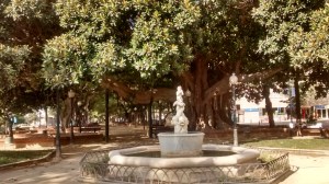 IMG_20150710_093214595_HDR