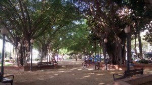 IMG_20150710_093459599 (1)