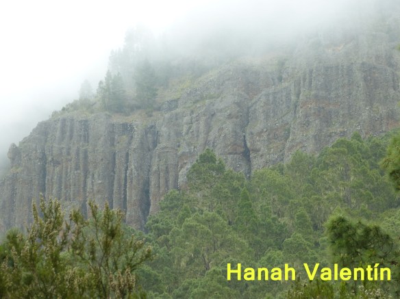 la caldera1organos 2016.jpg