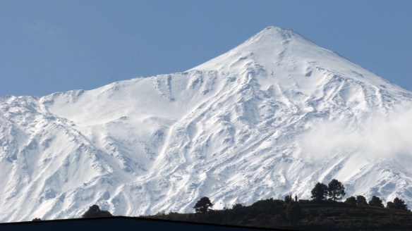 terron de azucar.jpg