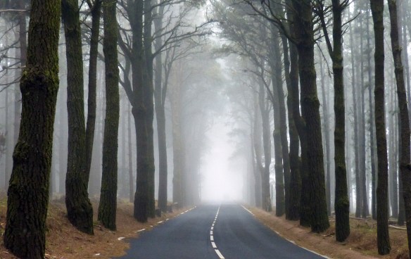 el camino sigue mas alla de la luz.jpg