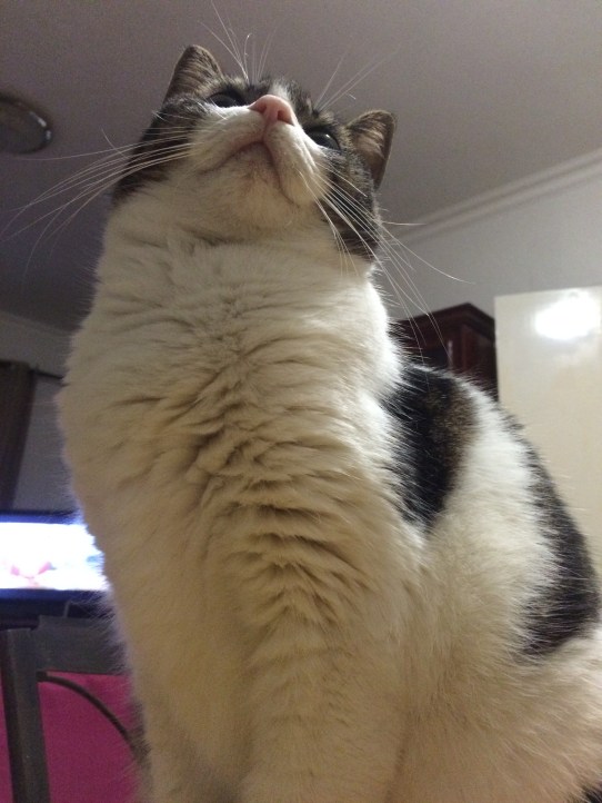 2016-02-18 21.53.18.jpg