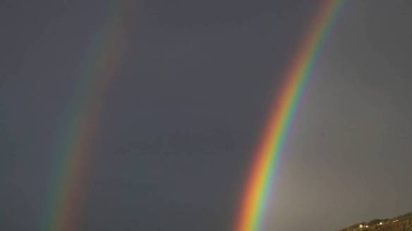 osos-pardos-nacidos-en-murcia-cumplen-20-anos-y-caida-de-un-acrobata-del-circo-del-sol-en-brasil-el-dia-en-fotos