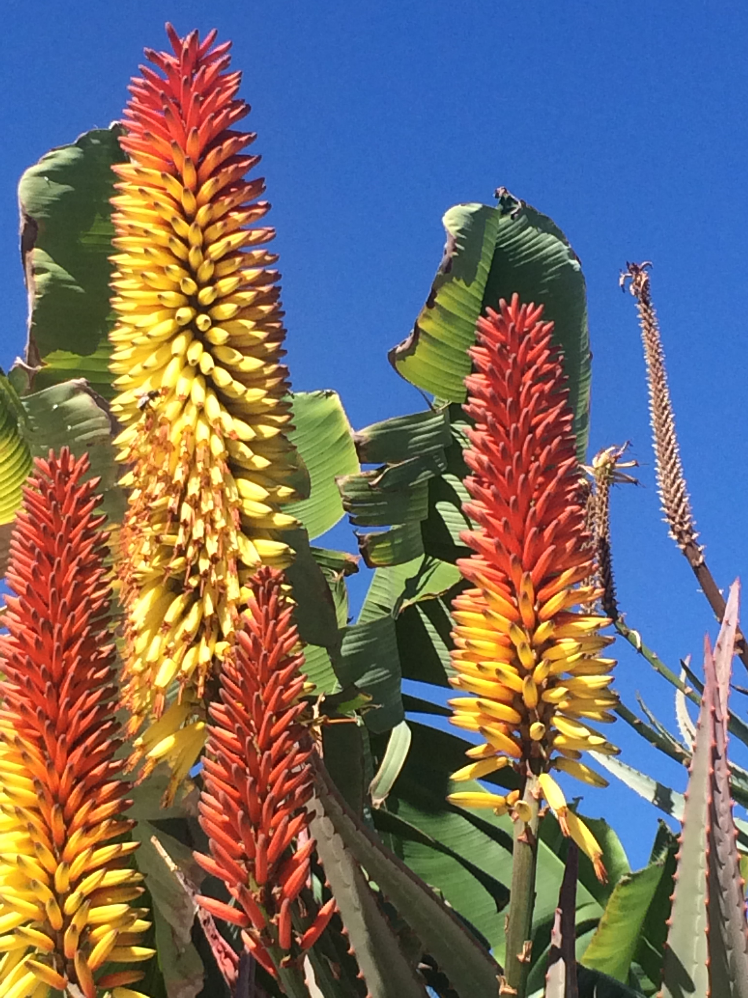 2018-02-21 12.04.29 (1).jpg