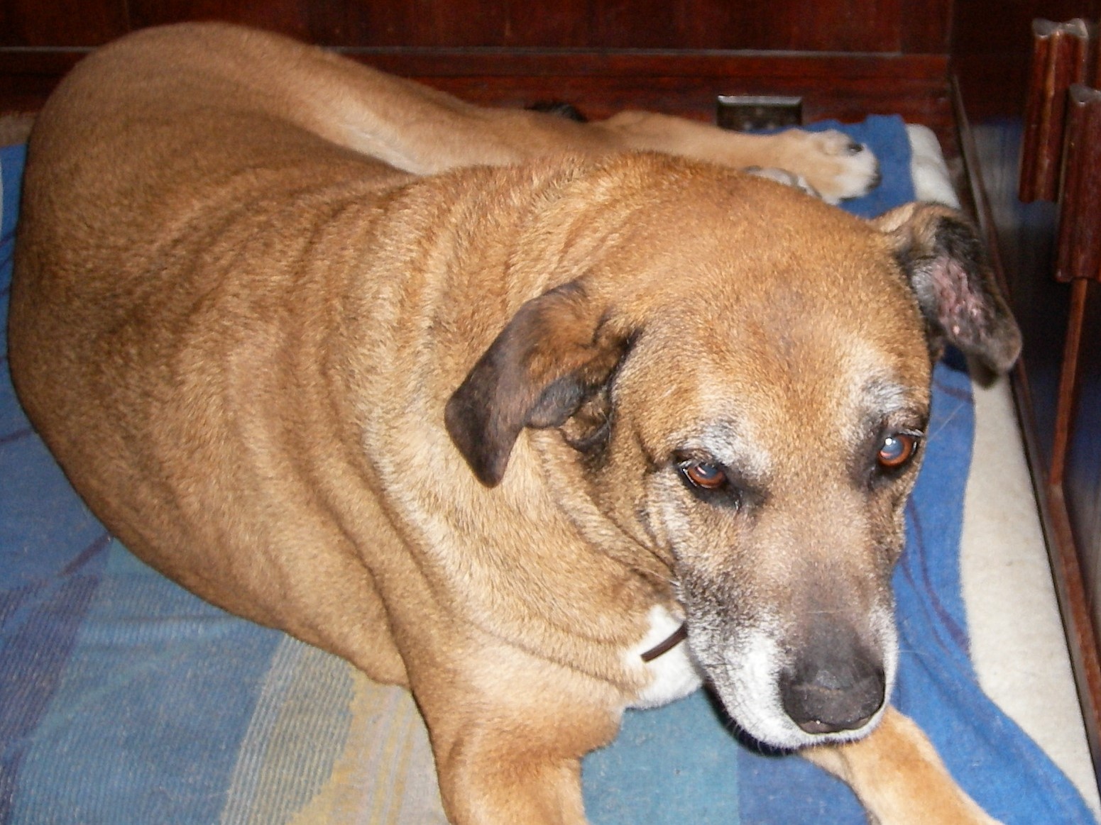 MIS RECUERDOS PERSONALES 016FOTO ARREGLADA.jpg